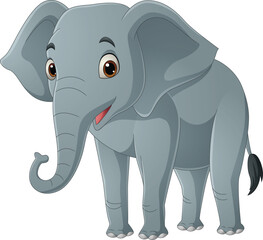 Cute elephant cartoon on white background
- 775684211