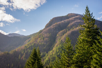 Fototapeta premium North Cascades National Park in Washington State
