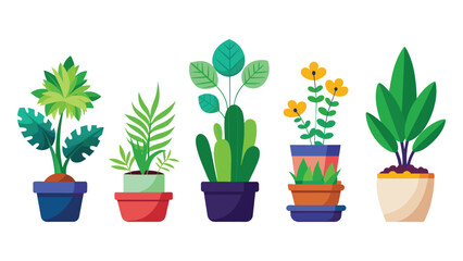 Set of Plant minimal isolated flat vector pro collection illustration on white background.