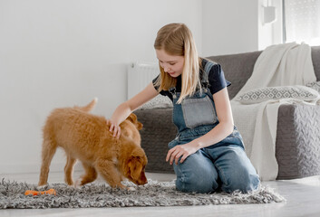 Girl Plays With Nova Scotia Retriever Puppies At Home On Floor, Nova Scotia Retriever Toller