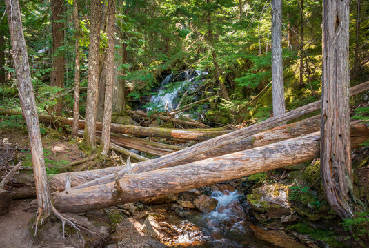 A Waterfall at North Cascades National Park in Washington State