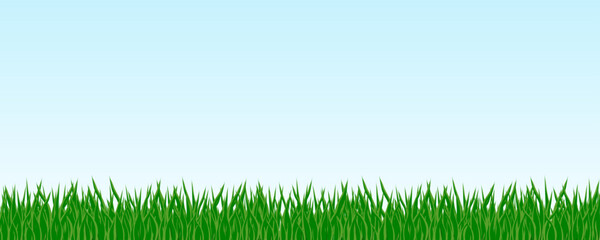 green grass isolate on blue background