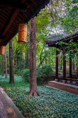 Du Fu Thatched Cottage Park, Chengdu, China - 775696641