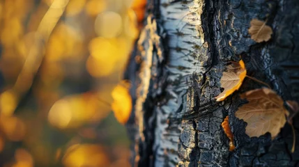 Fotobehang Close-up of tree trunk - Generative AI © Sumaira