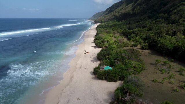Aerial view of the coasline of Nunggalan Beach in Uluwatu Bali Indonesia
