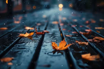 Foto op Aluminium Autumn leaves on a wet wooden terrace floor.  © Artem