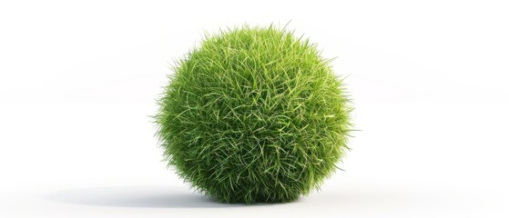 Isolated grass ball in 3D - obrazy, fototapety, plakaty