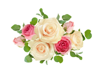 Pink and white rose flowers with eucalyptus leaves in floral arrangement isolated on white or transparent background