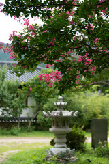 View of the pink flower tree against the pagoda in the Buddhist temple 