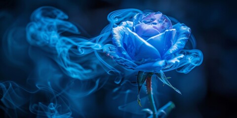 A neon blue rose emits swirling blue smoke - obrazy, fototapety, plakaty