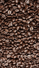 falling roasted aromatic coffee beans on white background bright colourful illustration