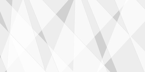 Fototapeta premium Abstract background with white and gray transparent material in triangle shapes with geometric style. Space design concept. Decorative web layout or poster, banner.