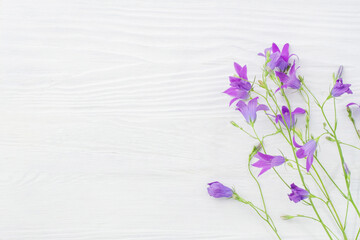 Bunch of wild bluebells on a white wooden surface
