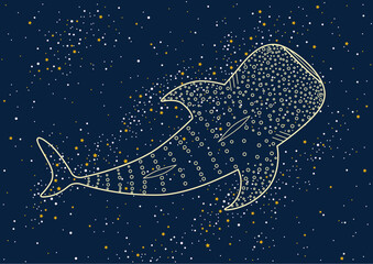 Illustration of the whale shark on the night stars sky. Line art