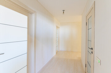 standard room interior apartment. room doors, renovation corridor lobby entrance hall