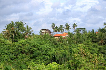 Fototapeta na wymiar living houses in green surrounding at Campuhan Ridge Walk near Ubud, Bali, Indonesia