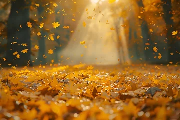 Poster The autumn wind blows the leaves, and golden falling petals fill up the ground  with sunlight shining through them © AH