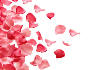 Dance of the Pink Petals. White or PNG Transparent Background.