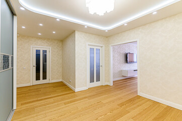 standard room interior apartment. room doors, renovation corridor lobby entrance hall