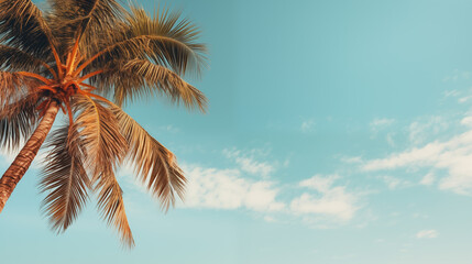 Coconut palm tree under blue sky . Vintage style. Tropical background