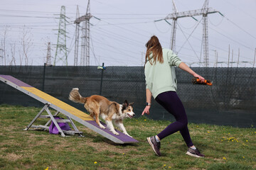 Dog with handler running acros seesaw in agility competition