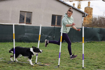 Dog with handler running slalom in agility competition