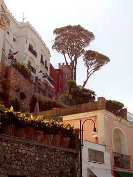 Uno scorcio caratteristico di Capri.