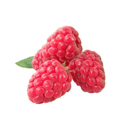 Three raspberries with leaves on a Transparent Background