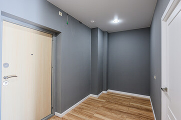 standard room interior apartment. room doors, renovation corridor lobby entrance hall