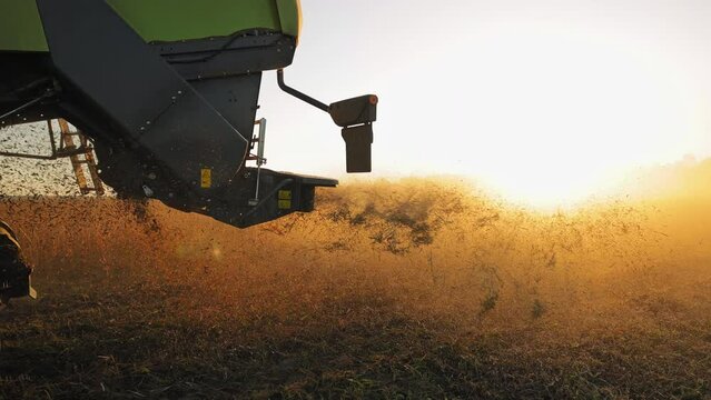 Combine harvester working in field during sunrise or sunset. Side view of green and grey harvester showing ejecting chaff with background of golden hues of sun.