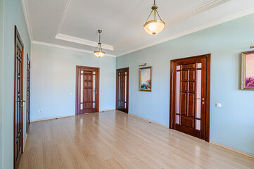 standard room interior apartment. room doors, renovation corridor lobby entrance hall