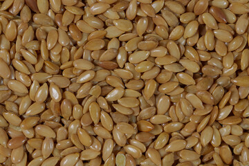 Flax Seed Detail