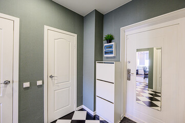 standard room interior apartment. room doors, renovation corridor lobby entrance hall