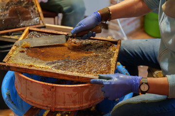 Extraction of honey from the honeycombs for its production