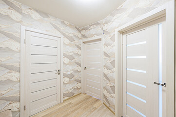 standard room interior apartment. room doors, renovation corridor lobby entrance hall
