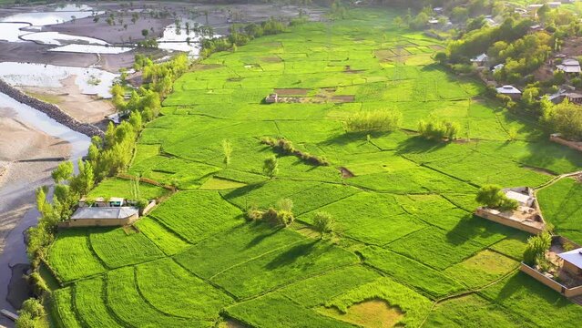 Aerial top down drone footage of Village, Chitral, Pakistan, God's Eye View town, tree, village in nature.