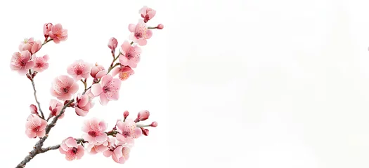 Fotobehang cherry blossom sakura © Daisy