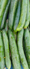 Cucumbers are a versatile and refreshing vegetable that can be enjoyed in a variety of dishes. Whether sliced in a salad, pickled for a tangy snack, or blended into a refreshing drink, cucumbers 