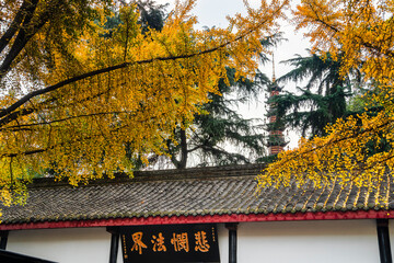 Wenshu Temple, Chengdu, China - 775760234