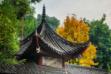 Wenshu Temple, Chengdu, China - 775760253