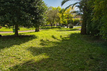 Menton Park in spring, Côte d'Azur, Alpes Maritimes