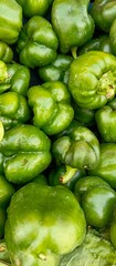 The green capsicum, also known as green bell pepper, is a versatile vegetable that adds a pop of color and flavor to any dish. With its crisp texture and mild, slightly sweet taste, it is a popular 