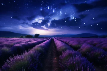 Wandcirkels plexiglas Lavender field sunset and lines © olenakucher