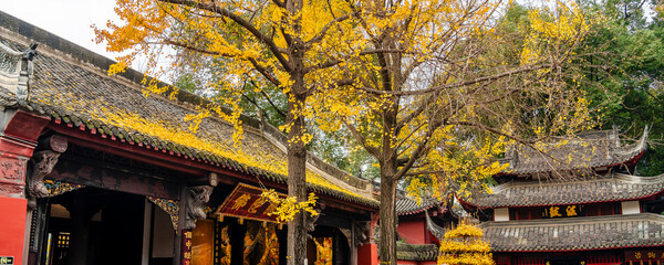 Wenshu Temple, Chengdu, China - 775760471
