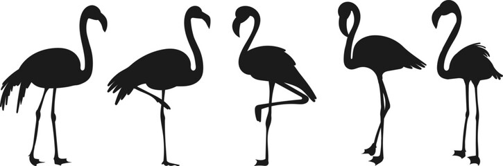 Fototapeta premium flamingo silhouette, isolated on white background vector
