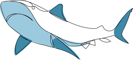 sketch of a shark swimming, on a white background vector