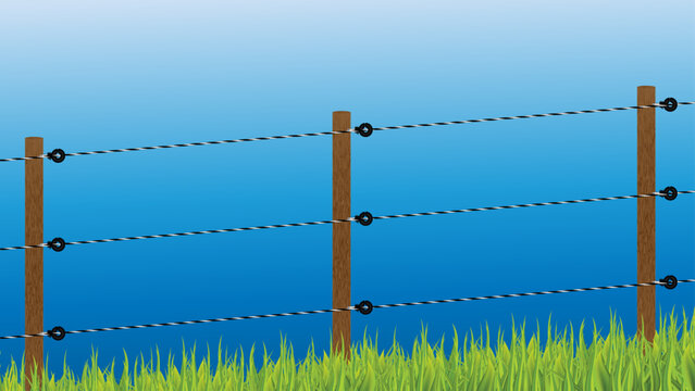 Electric fence outdoors with insulators, wooden poles, and wires, vector illustration