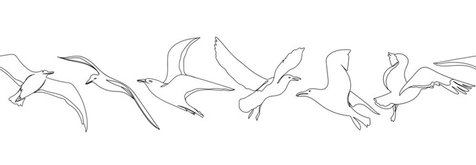 One line seagull hand drawn seamless border. Outline seagull flying. Hand drawn minimalist style vector illustration. Beautiful sea life design.