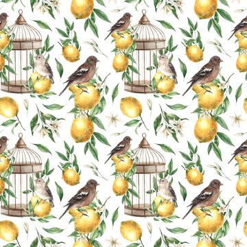 Seamless pattern of yellow lemons, leaves, birds and copper vintage cage on a white background. Watercolor drawing in vintage style. Drawing for interior, cards, wedding design, invitations, textiles.