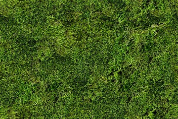Seamless moss grass texture for decoration, wall mural, green for interior architecture, ambient wall deep long